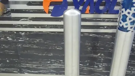 Poteau de stationnement extérieur d'acier inoxydable de borne de sécurité pour le déchargement de magasin